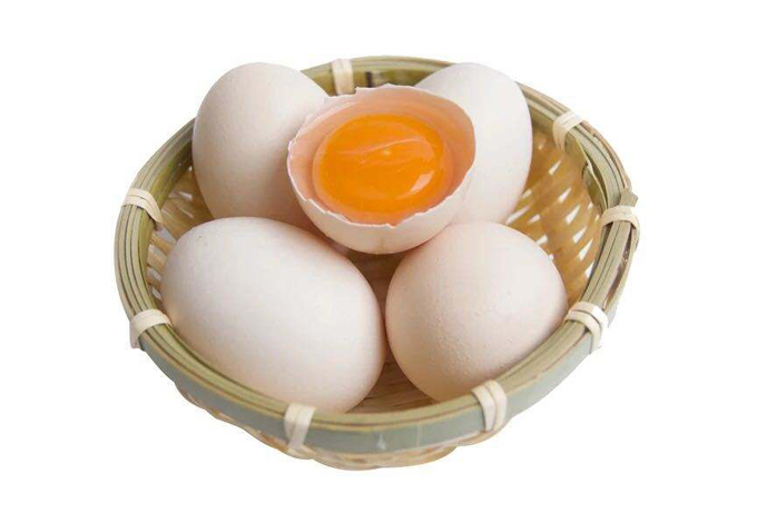 學校食材雞蛋配送